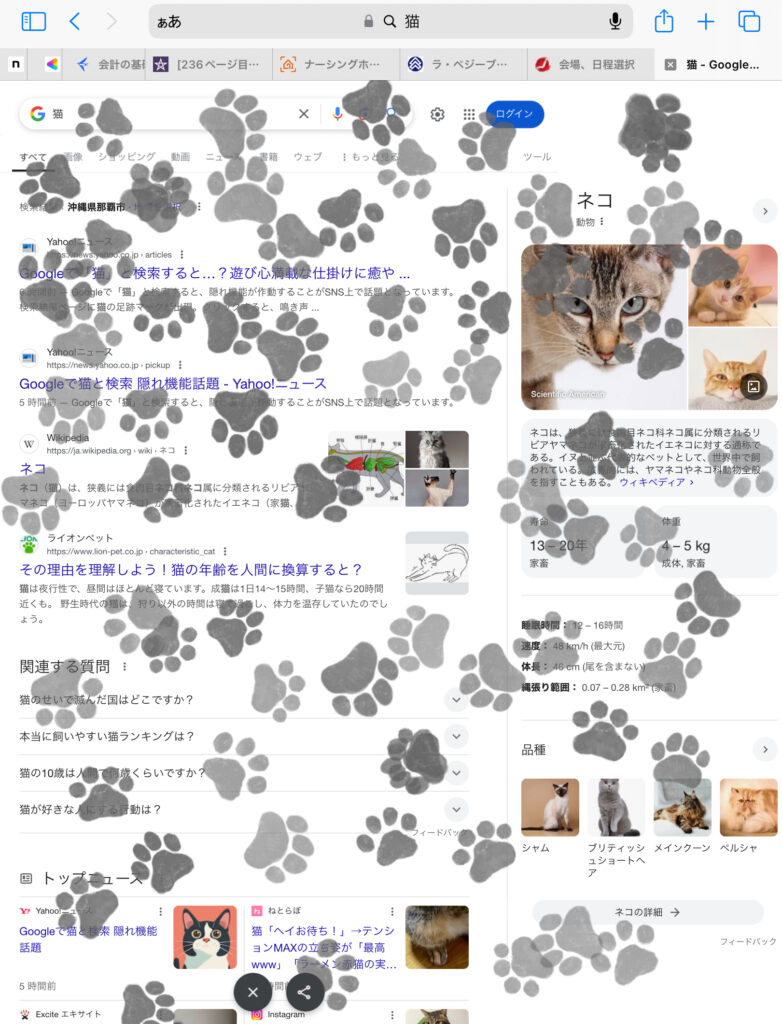 猫の無数の足跡がついたweb検索画面